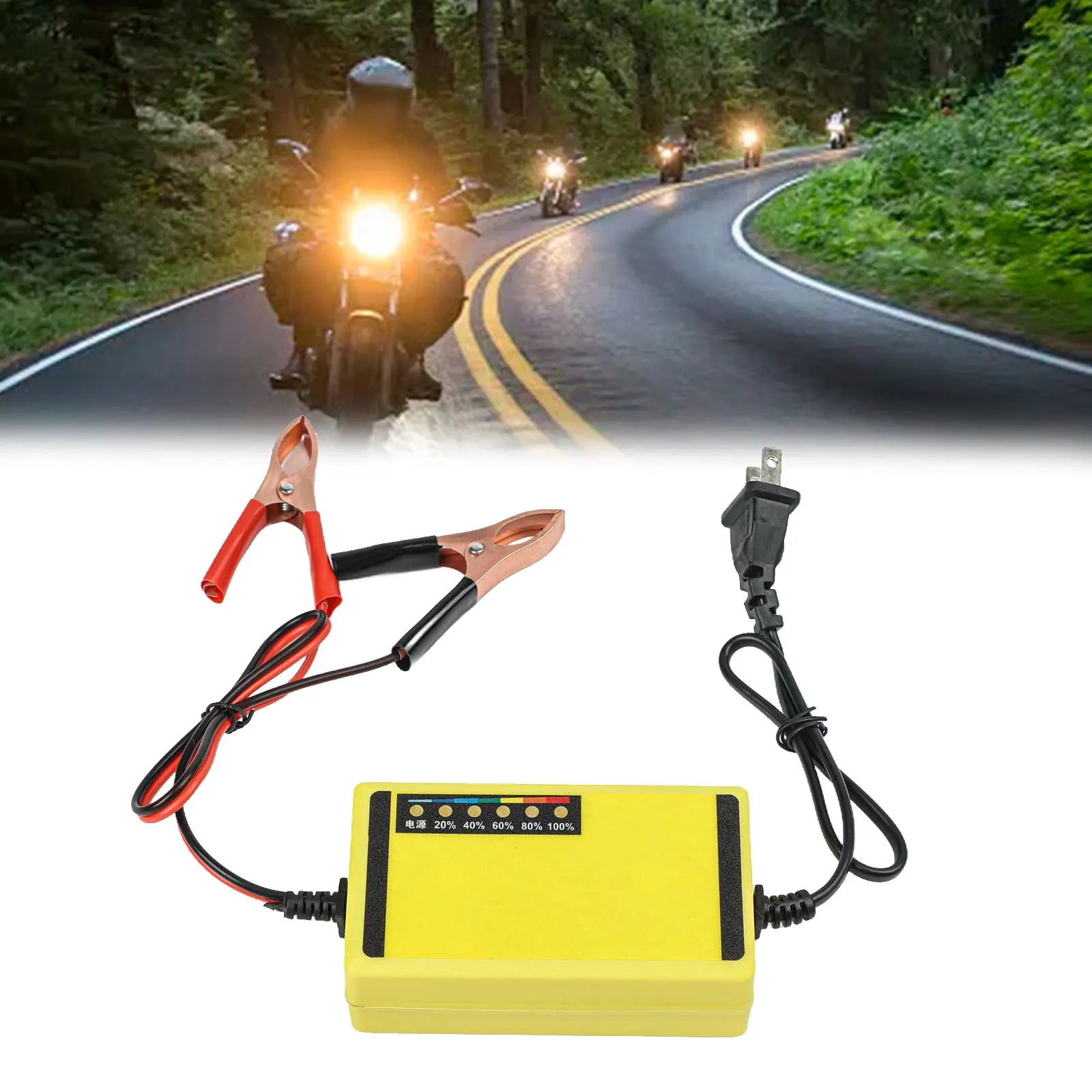 12V Automatic Car Battery Charger – LED display detail