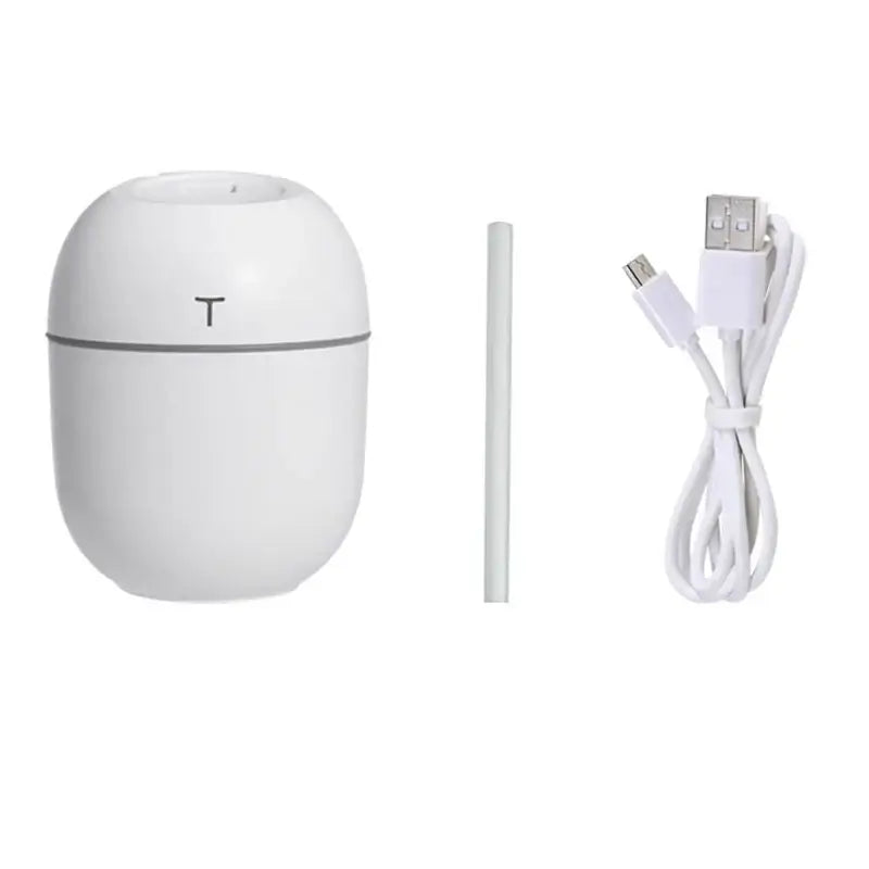 Egg-shaped white BALASHOV Mini Ultrasonic Air Humidifier with USB cable and wand