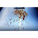 Cordless Vacuum Cleaner with HEPA Filter and Blow Dry Function