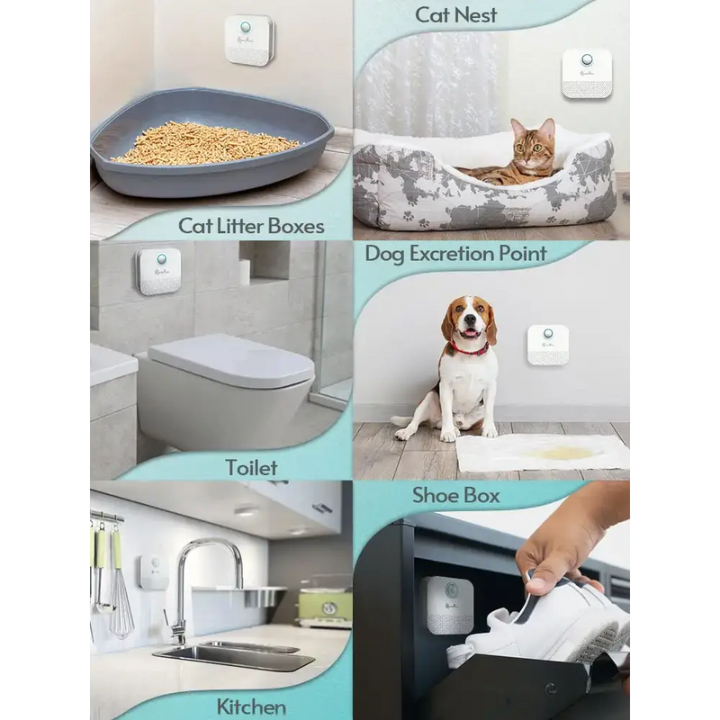 Collage of DownyPaws Cat Cleaning Tools highlighting pet care and household areas