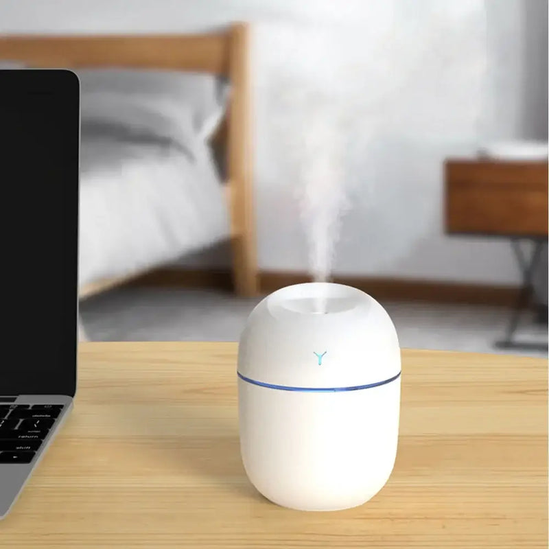 White egg-shaped HAOYUNMA Compact Humidifier showcasing efficient mist discharge power