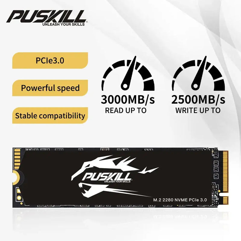 PUSKILL M.2 2280 PCI Express NAND Flash NVMe 1TB SSD with cooling fin for high performance